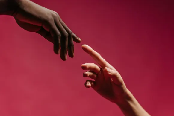 Casino Vegas Crest Support